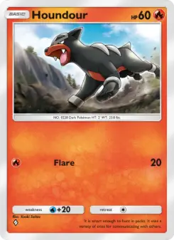 Pokémon-Karte Houndour 011/075