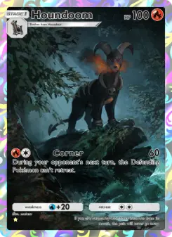 Pokémon-Karte Houndoom 076/075
