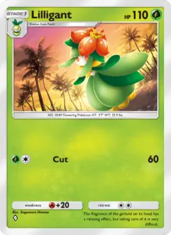 Pokémon-Karte Lilligant 002/069