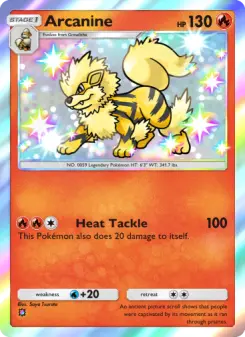 Pokémon-Karte Arcanine 090/069