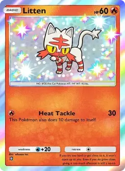 Pokémon-Karte Litten 293/226