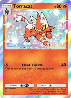 Pokémon-Karte Torracat 294/226