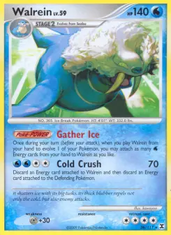 Pokémon-Karte Walrein 036/111