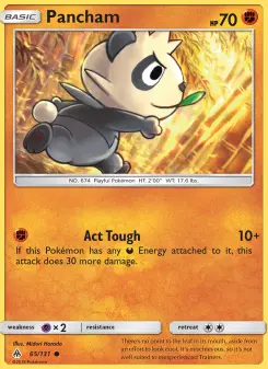 Pokémon-Karte Pancham 065/131