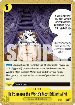 One Piece-Karte He Possesses the World's Most Brilliant Mind OP07-114