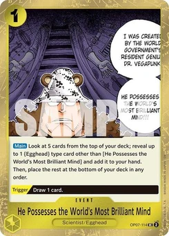 One Piece-Karte He Possesses the World's Most Brilliant Mind (Pirate Foil) OP07-114