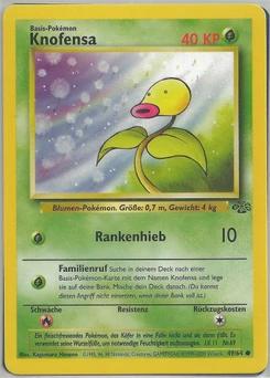 Pokémon-Karte Knofensa 049/064