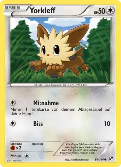 Pokémon-Karte Yorkleff 080/114