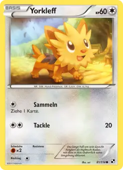 Pokémon-Karte Yorkleff 081/114