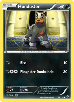 Pokémon-Karte Hunduster 074/124
