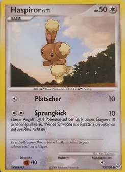 Pokémon-Karte Haspiror 073/130