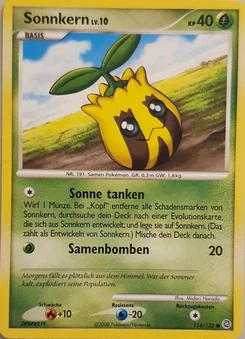 Pokémon-Karte Sonnkern 114/132