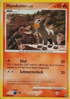 Pokémon-Karte Hunduster 069/106