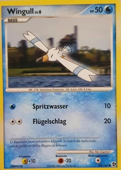 Pokémon-Karte Wingull 095/106