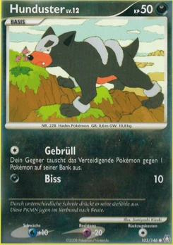 Pokémon-Karte Hunduster 103/146