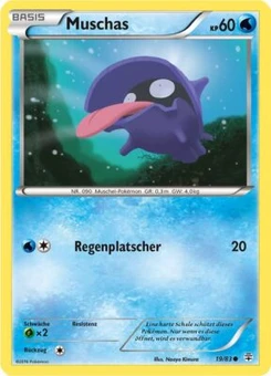 Pokémon-Karte Muschas 019/117