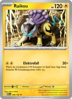 Pokémon-Karte Raikou 048/132