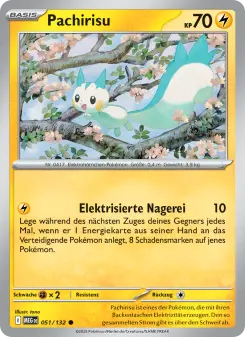 Pokémon-Karte Pachirisu 051/132