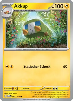 Pokémon-Karte Akkup 065/217
