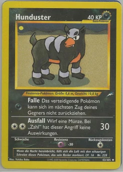 Pokémon-Karte Hunduster 043/105