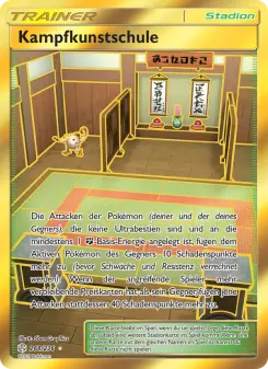 Pokémon-Karte Kampfkunstschule 268/236
