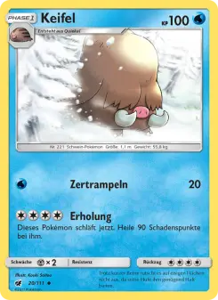 Pokémon-Karte Keifel 020/111
