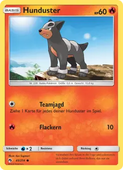 Pokémon-Karte Hunduster 045/214