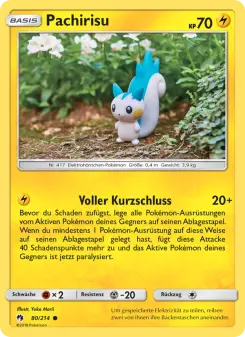 Pokémon-Karte Pachirisu 080/214