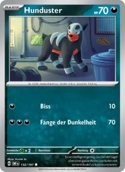 Pokémon-Karte Hunduster 132/197