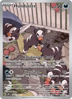 Pokémon-Karte Hunduster 204/197