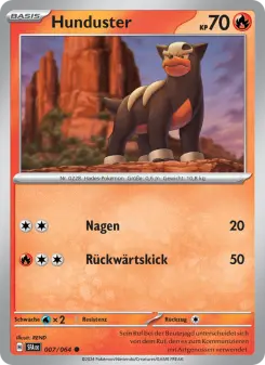 Pokémon-Karte Hunduster 007/064