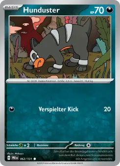 Pokémon-Karte Hunduster 062/131