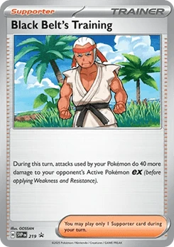 Pokémon-Karte Schwarzgurt-Training 219/225
