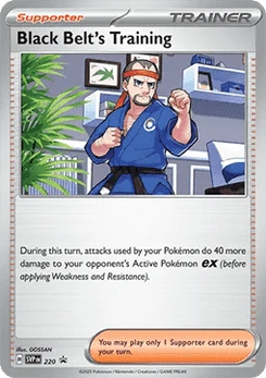 Pokémon-Karte Schwarzgurt-Training 220/225