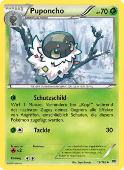 Pokémon-Karte Puponcho 014/162