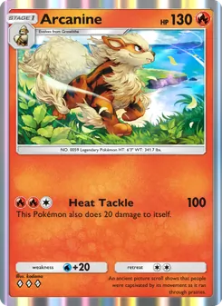 Pokémon-Karte Arcanine 040/226