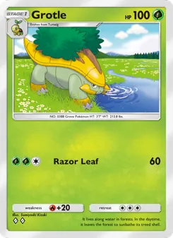 Pokémon-Karte Grotle 011/140