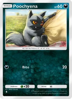 Pokémon-Karte Poochyena 100/140
