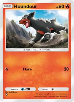 Pokémon-Karte Houndour 011/075