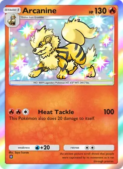 Pokémon-Karte Arcanine 090/069