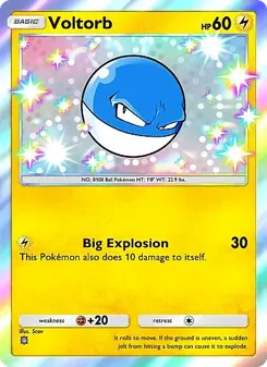 Pokémon-Karte Voltorb 095/069