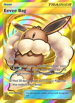 Pokémon-Karte Eevee Bag 107/069