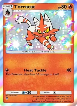 Pokémon-Karte Torracat 294/226