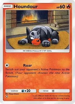 Pokémon-Karte Houndour 015/069
