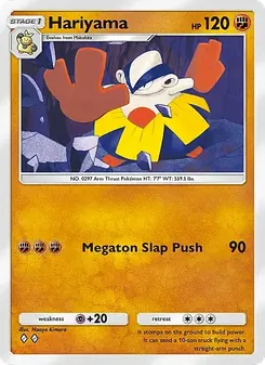 Pokémon-Karte Hariyama 040/069