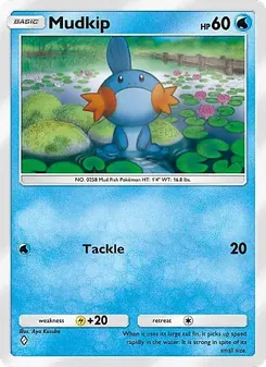 Pokémon-Karte Mudkip 033/155