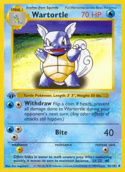 Pokémon-Karte Wartortle 042/102