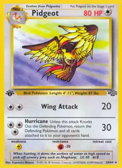 Pokémon-Karte Pidgeot 024/064