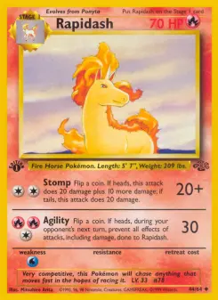 Pokémon-Karte Rapidash 044/064