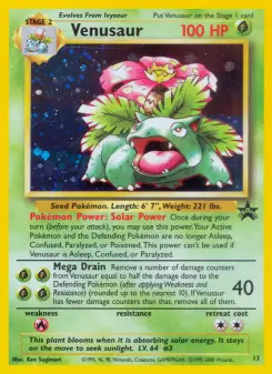 Pokémon-Karte Bisaflor 013/053